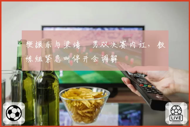 樊振东与梁靖崑男双决赛内讧,教练组紧急叫停开会调解