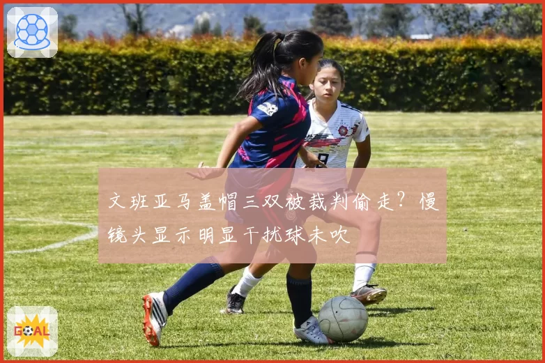 文班亚马盖帽三双被裁判偷走?慢镜头显示明显干扰球未吹