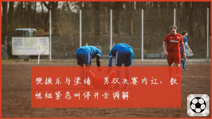 樊振东与梁靖崑男双决赛内讧,教练组紧急叫停开会调解